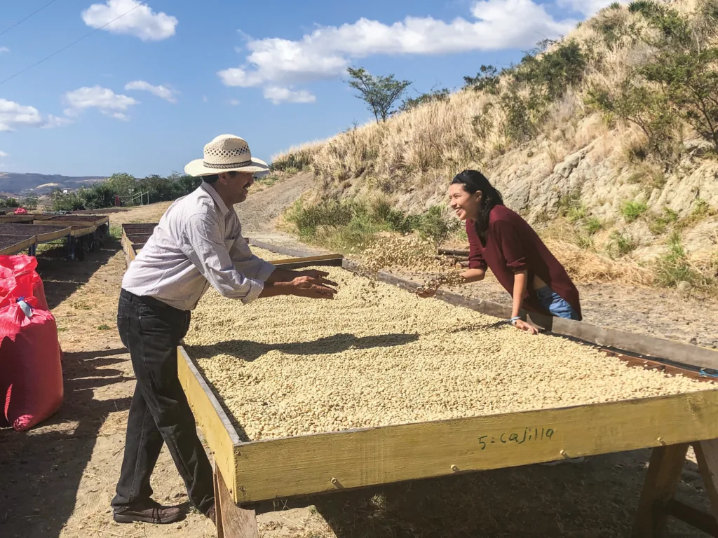 A man in a straw hat and a woman spreading green coffee beans across a large drying table outdoors on a hillside