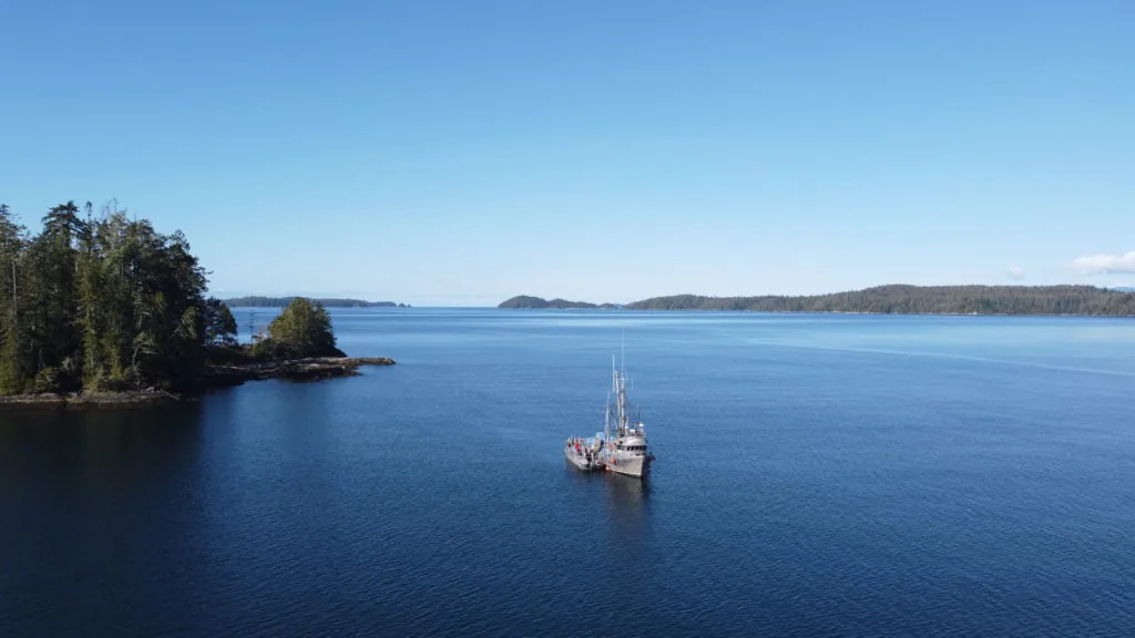 An aerial view of a fishing boat anchored near a forested coastline on calm blue water