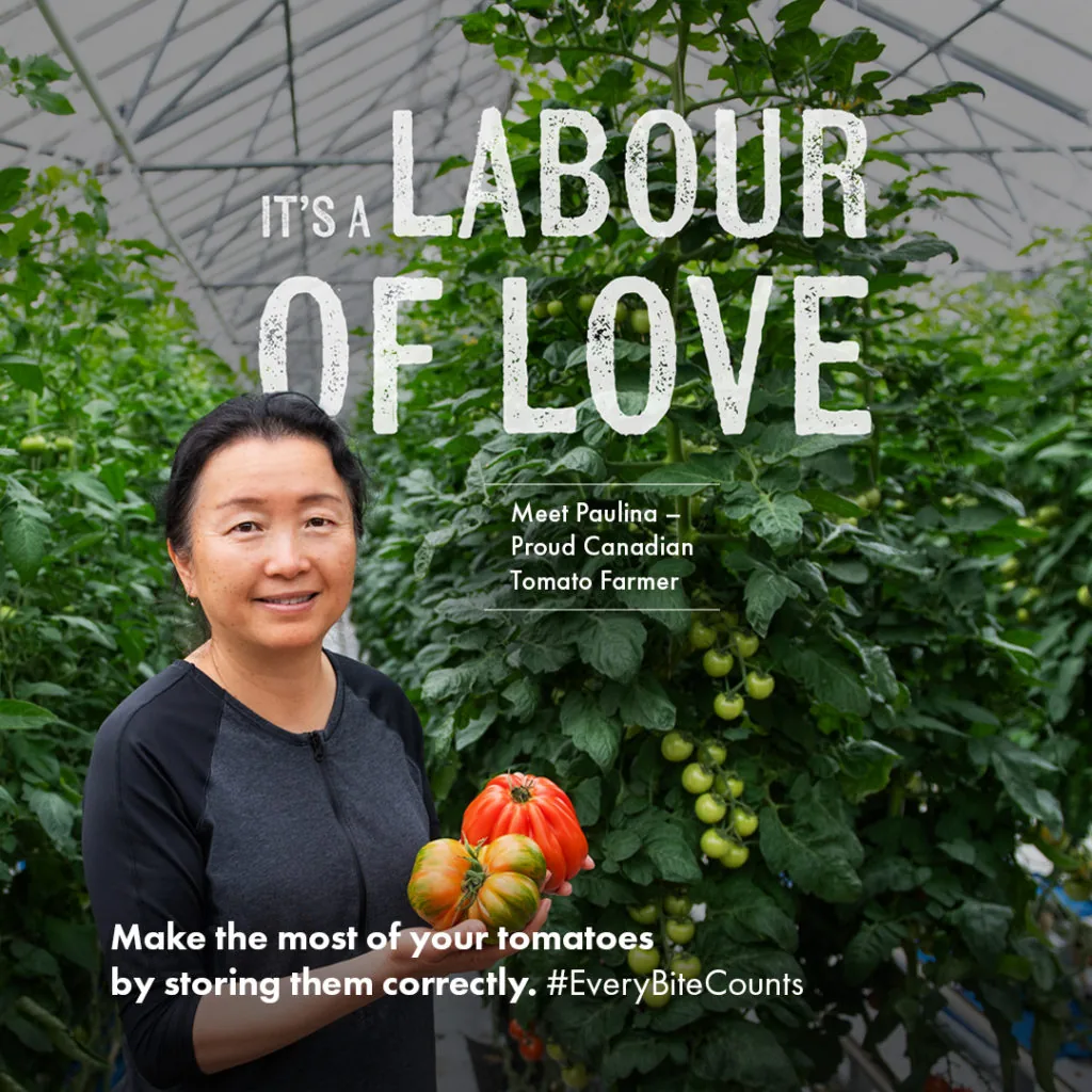 A social graphic of a woman holding tomatoes in a greenhouse reading It's a Labour of Love, Meet Paulina, Proud Canadian Tomato Farmer