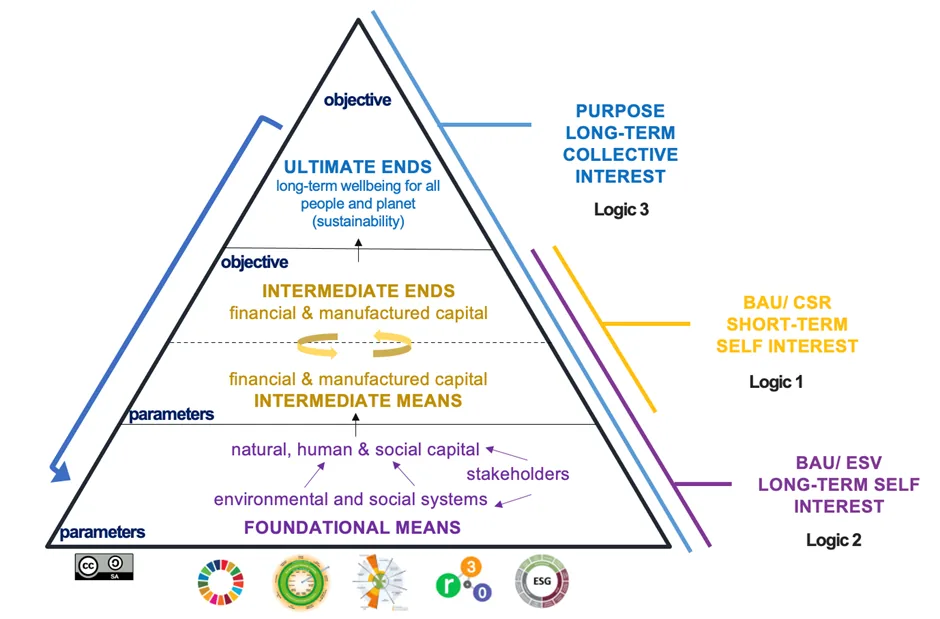 A pyramid diagram showing foundational means rising to ultimate ends, labelled Purpose, BAU/CSR and BAU/ESV logics
