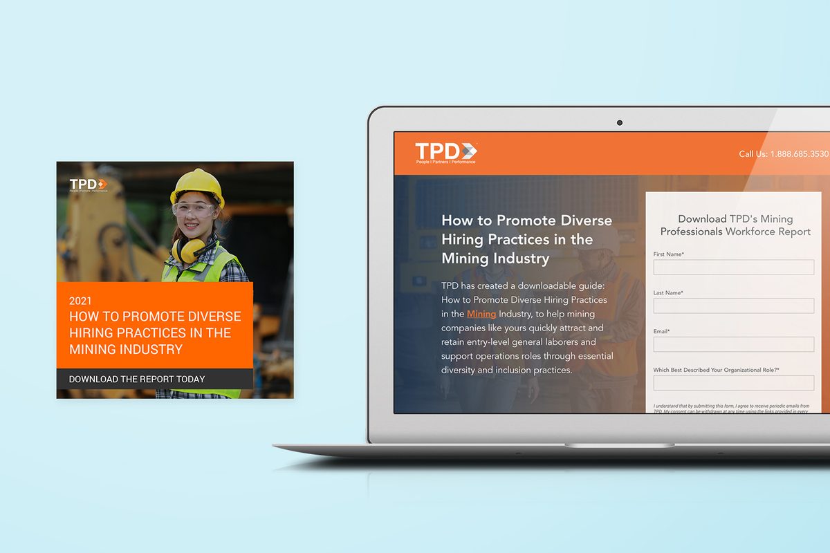 Search Engine Optimization case studies