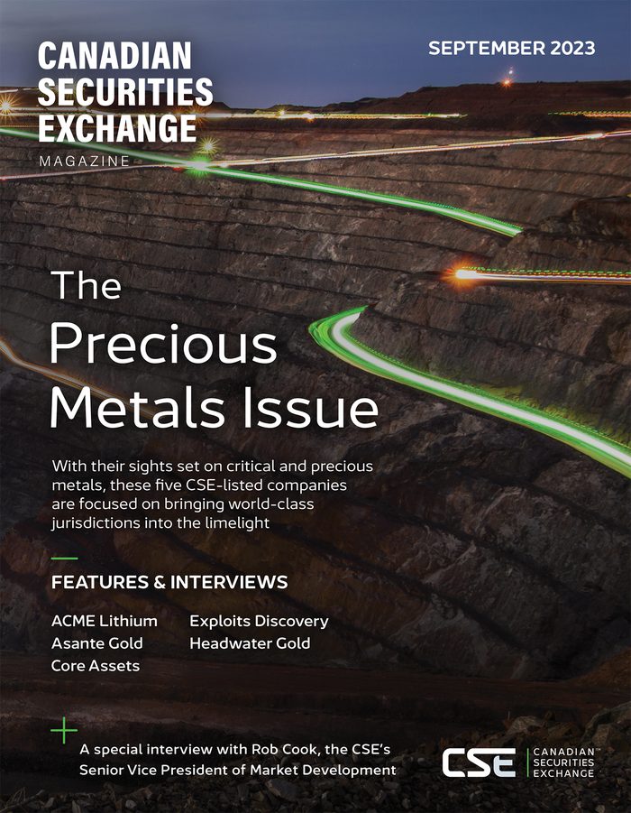 Cover of The Precious Metals Issue