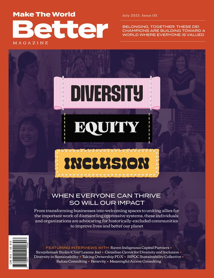 Cover of The DEI Issue