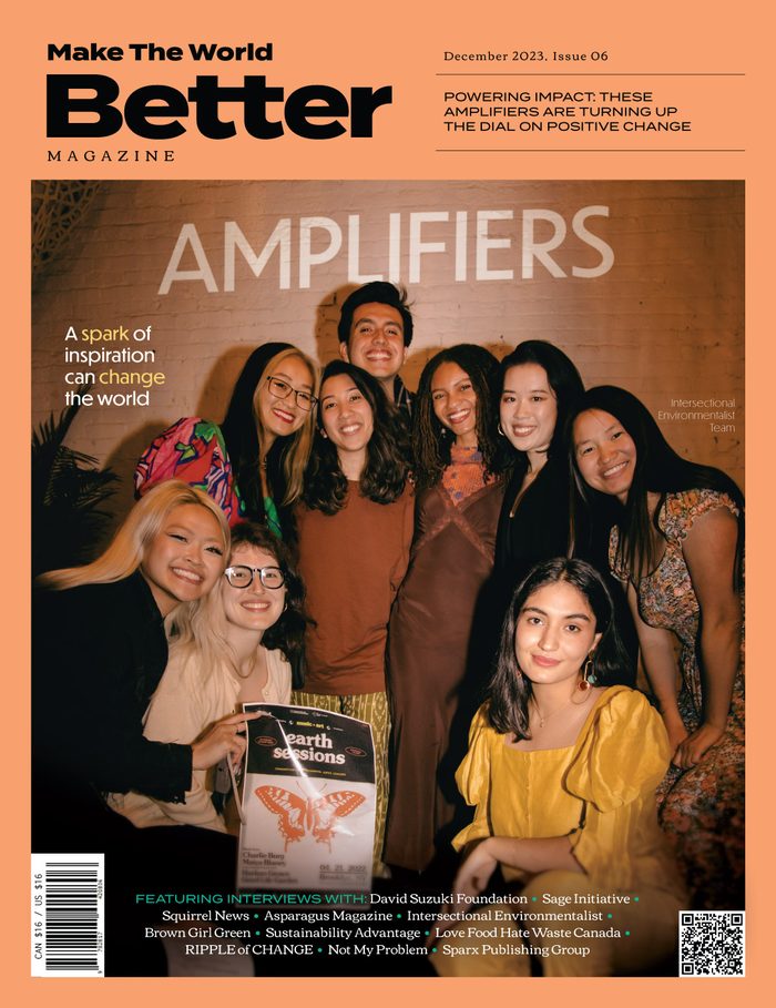 Cover of The Amplifiers Issue